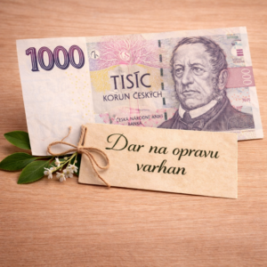 1000 Kč (kombinací bankovek zvolte libovolnou výši daru)