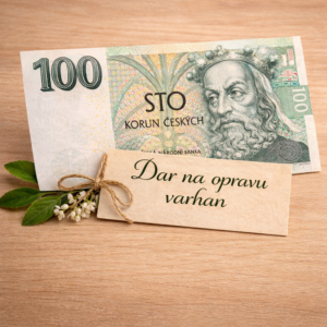 100 Kč (kombinací bankovek zvolte libovolnou výši daru)
