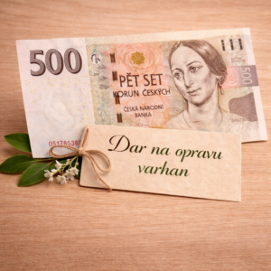 500 Kč (kombinací bankovek zvolte libovolnou výši daru)